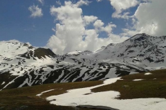 60_Davos_2015