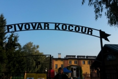 01_Kocour_2015 (Small)