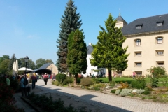 15_Kocour_2015 (Small)